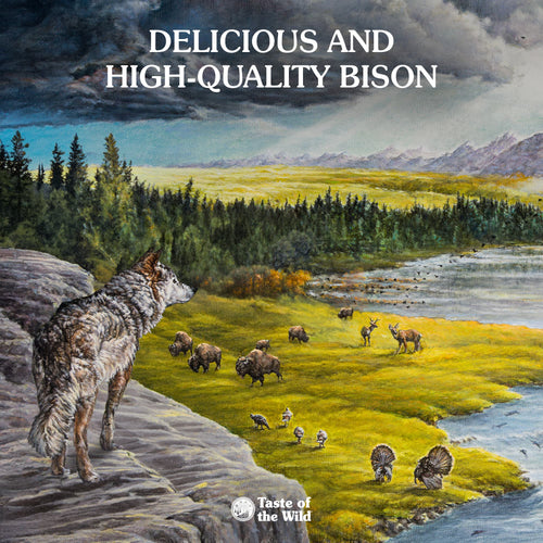 Taste Of The Wild High Prairie Canned Dog Food