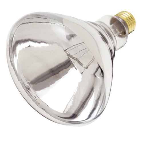 Clear Heat Lamp Bulb 250W