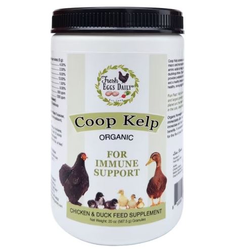 Fresh Eggs Daily Organic Coop Kelp Poultry Feed Supplements