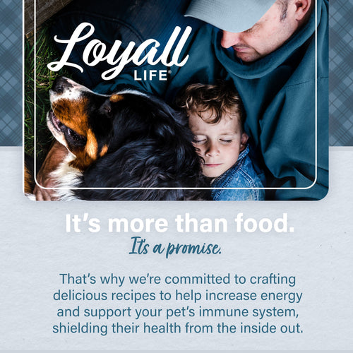Nutrena® Loyall Life® Advanced Solutions Healthy Digestion Chicken & Rice Recipe Adult Dog Food