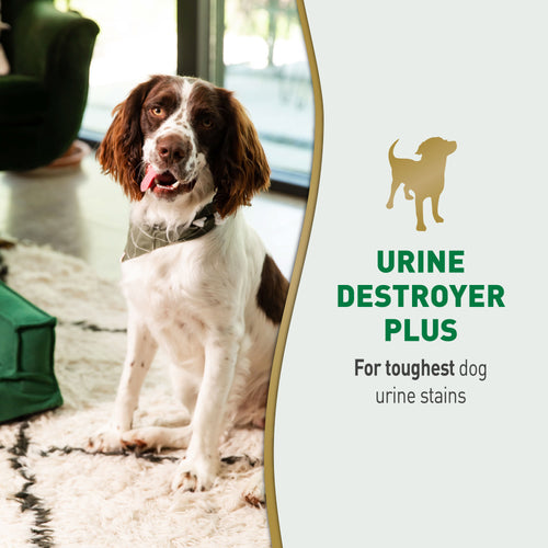 Nature's Miracle Urine Destroyer Plus Foaming Aerosol Spray For Dogs