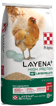 Purina® Layena® + High Protein 19% Layer Feed