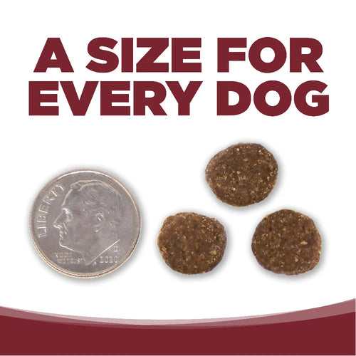 NutriSource® Beef & Rice Recipe Dog Food