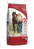 Equine Senior