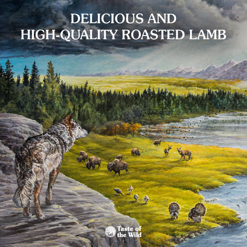 Taste Of The Wild Sierra Mountain Dog Food