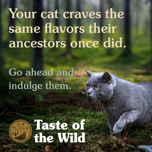 Taste Of The Wild Rocky Mountain Canned Cat Food