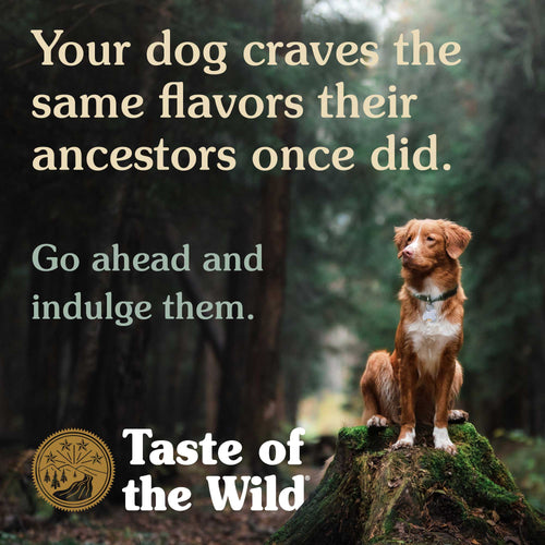 Taste Of The Wild Sierra Mountain Dog Food