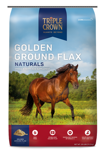 Triple Crown Golden Ground Flax