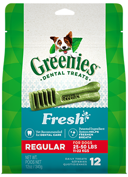 Greenies Fresh Regular Size Mint Treats 12oz