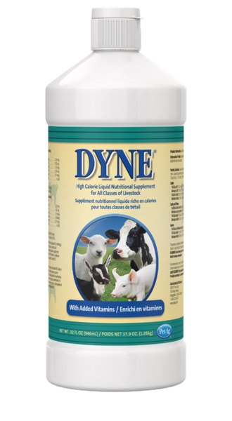 PetAg Dyne High Calorie Liquid Nutritional Supplement for Livestock Denton TX D L Farm and Home