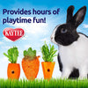 Kaytee Chew Toy Carrot Patch