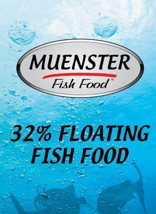 Muenster 32% Floating Fish Food