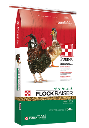 Flock Raiser Sunfresh Pellets