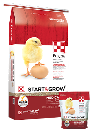 Start N Grow Medicated Chick Feed