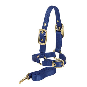 Valhoma Sheep Holding Halter with Adjustable Chin (5 Foot, Blue)